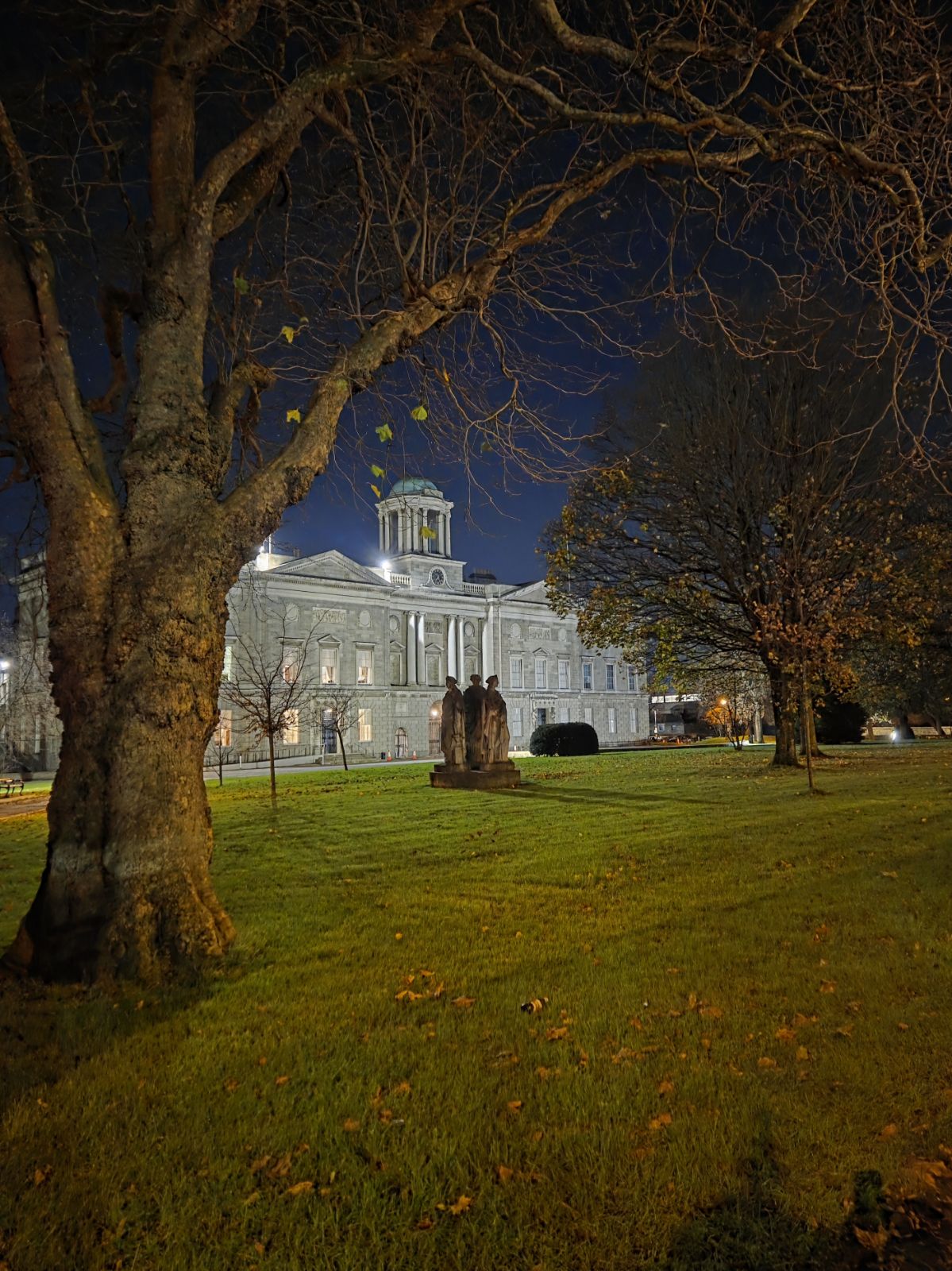 Before the King’s Inns, 1539-1802