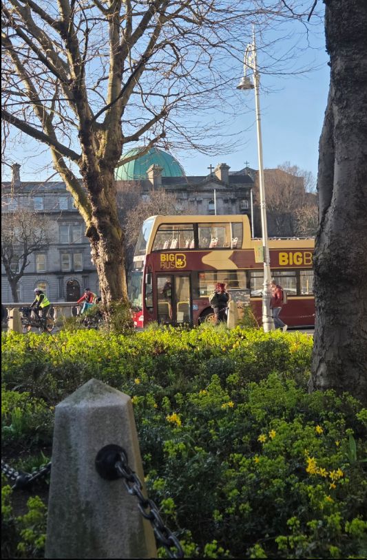 The Forgotten History of the Chancery Street Flowerbed, c.1690